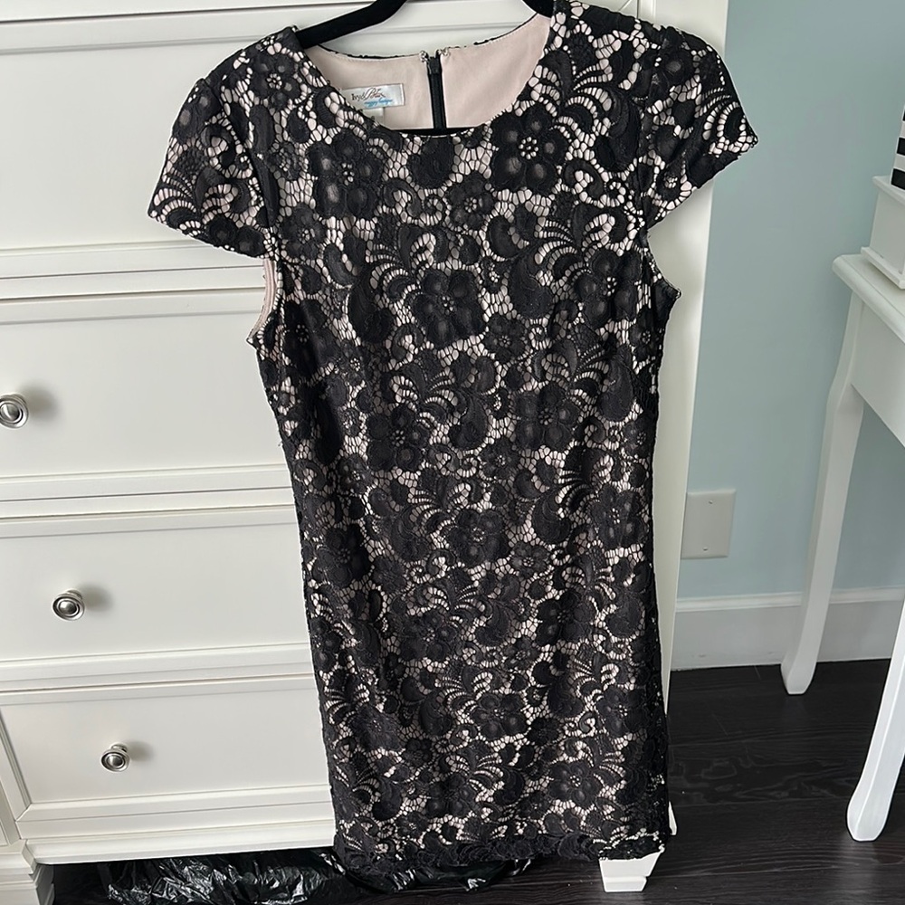 Ivy & Blu Elegant Black Lace Dress size 6